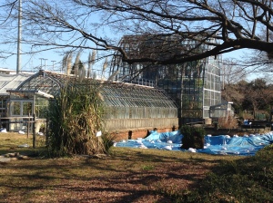 Koishikawa Greenhouse