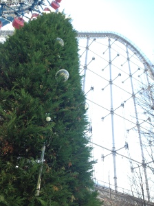 Pine Tree at Korakuen Amusement Park