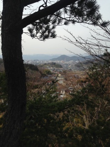Fukushima City from Hanamiyama